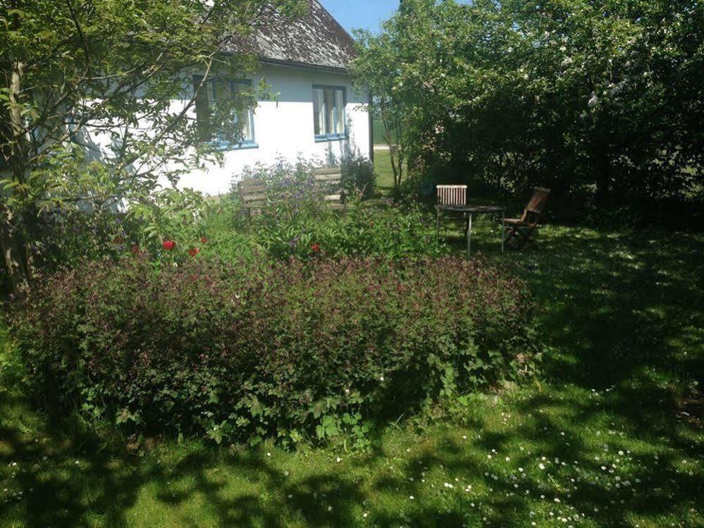 Raevakra B&B Hammenhög Exterior foto
